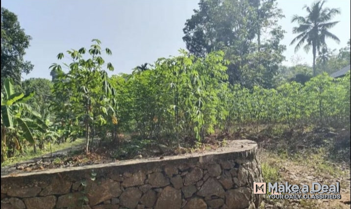 Plot for sale