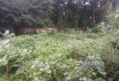 5000 Sq.ft Patta DTCP Approved Land in Thanjavur Main Road