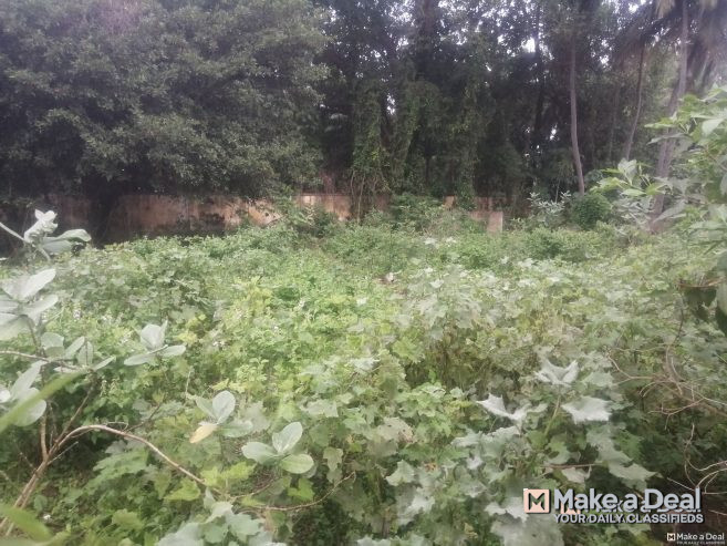 5000 Sq.ft Patta DTCP Approved Land in Thanjavur Main Road