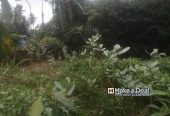 5000 Sq.ft Patta DTCP Approved Land in Thanjavur Main Road