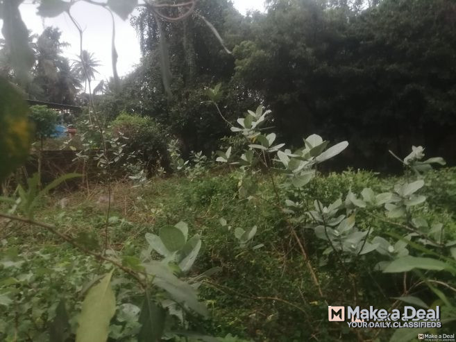 5000 Sq.ft Patta DTCP Approved Land in Thanjavur Main Road